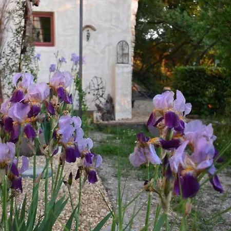 La Petite Maison Des Artistes * Seguret