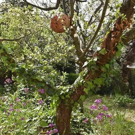 Holiday home La Petite Maison Des Artistes *