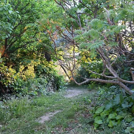 Vakantiehuis La Petite Maison Des Artistes Séguret